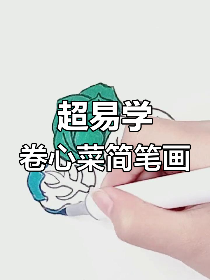 轻松画出可爱卷心菜，步骤简单又有趣
