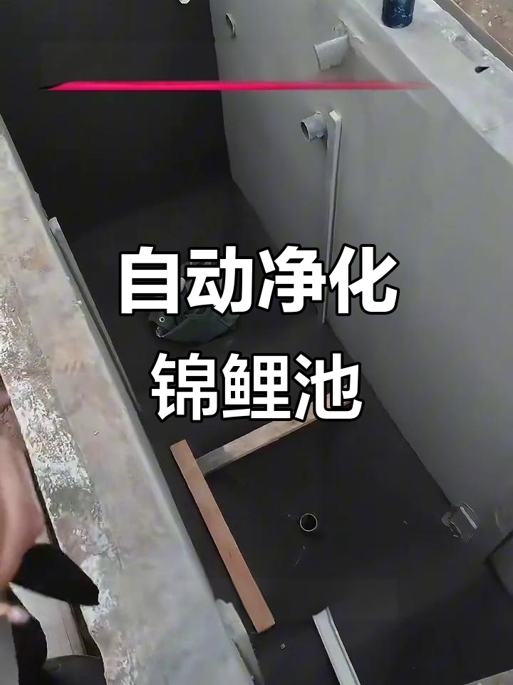 鱼池过滤系统揭秘：从初级到自动排污全流程