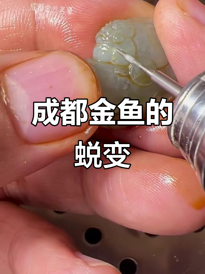 成都玉雕金鱼：富贵与贫贱的转变，从哭泣到威武