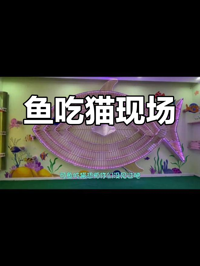 鱼吃猫?猫咪被大鱼吞进肚子,竟然还能自由游走!