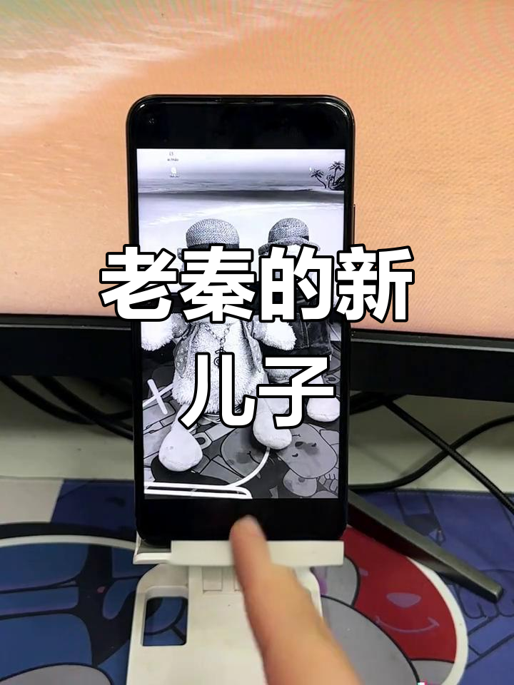 新兔子来袭,老秦成新爸爸