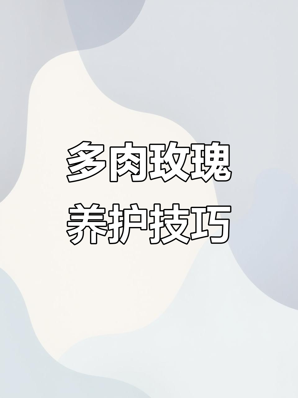 可爱玫瑰多肉养护全攻略,避免徒长和淋雨