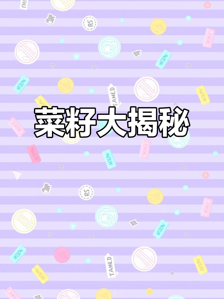 菜籽大揭秘,快来看看它们长啥样!