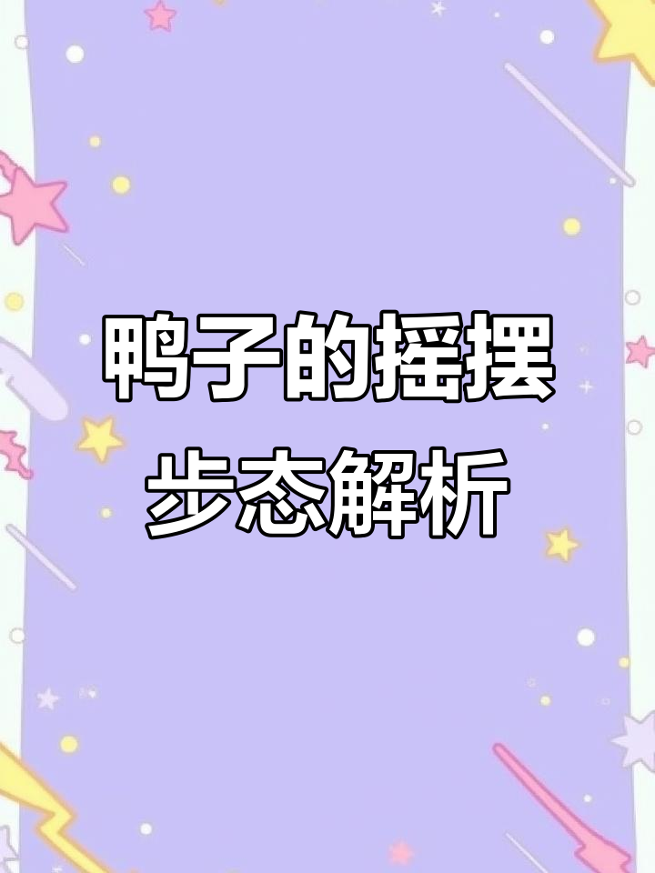 鸭子走路为什么总是一摇一摆？揭秘背后的生理特征