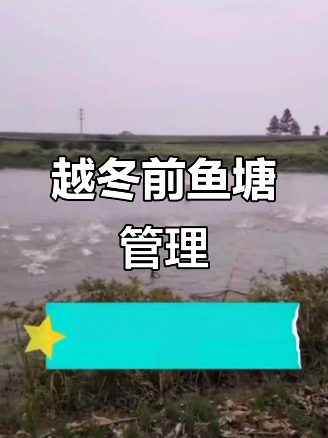华中鱼塘越冬准备全攻略,鲈、桂、黄颡等养殖技巧