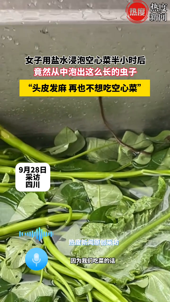女子用盐水浸泡空心菜半小时后,竟从中泡出这么长的虫子!
