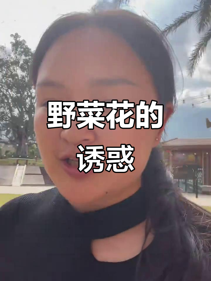 雅居乐的野菜花,美味又健康,值得一试!
