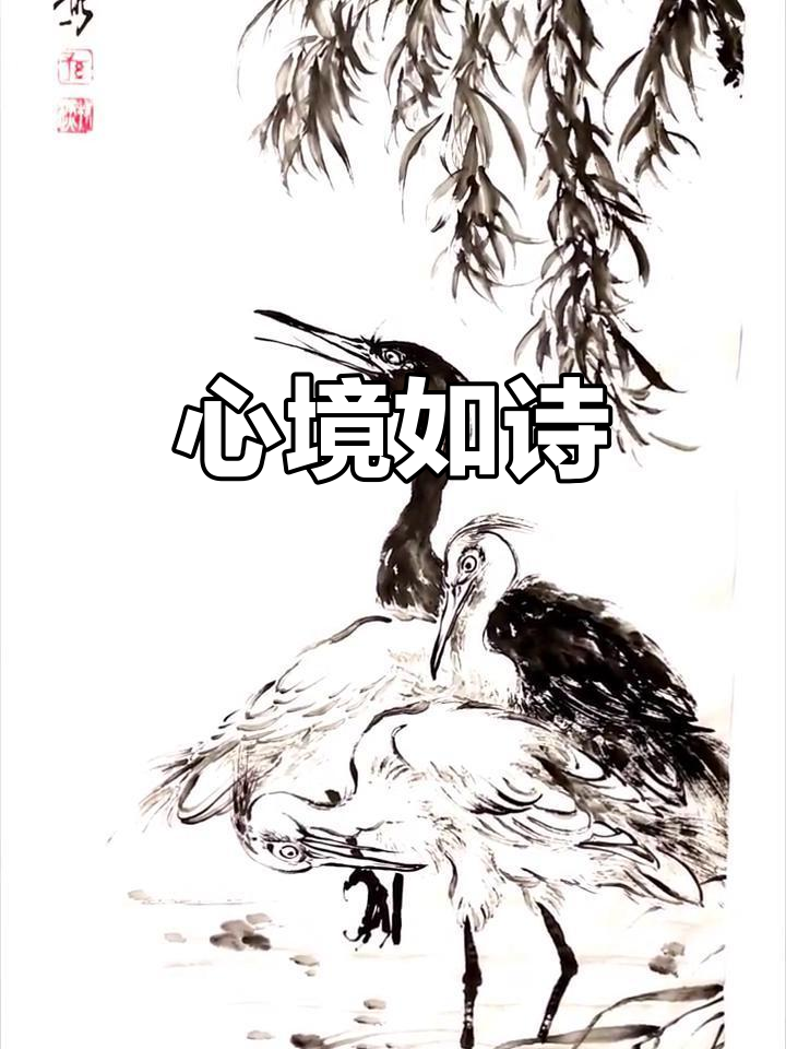 鱼跃枝头,鸟飞水面,心境如诗,笑对天地