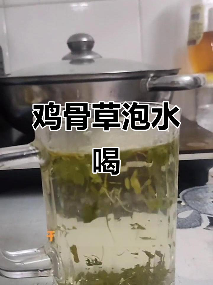 冬季暖心汤,鸡骨草泡水解渴又驱寒
