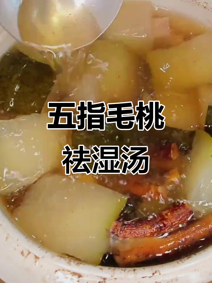 夏季祛湿汤,五指毛桃薏米冬瓜扇骨汤