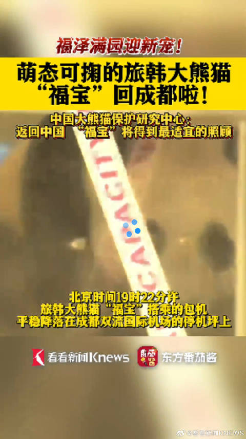 「福宝何时能公开亮相?」姜爷爷说福宝有点紧张 北京时间19时22分许,旅韩大熊猫“福宝”搭