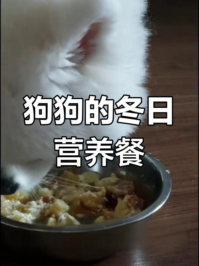 冬季宠物保养餐:韩式干明太鱼汤