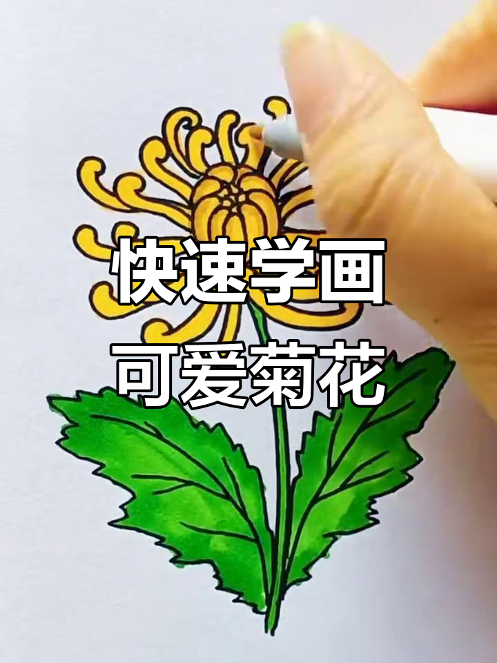 简单又好看的菊花画法,轻松学会!