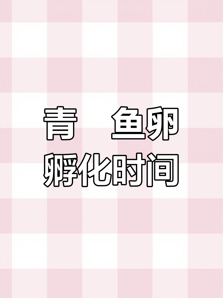 观背青鳉鱼卵孵化过程全解析