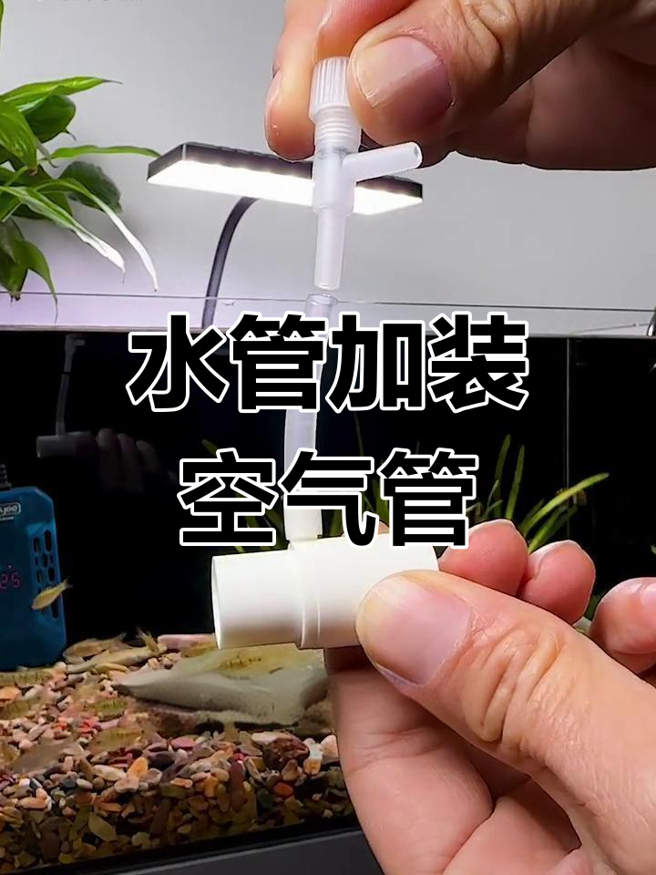 鱼缸增氧新方法,告别氧气泵!