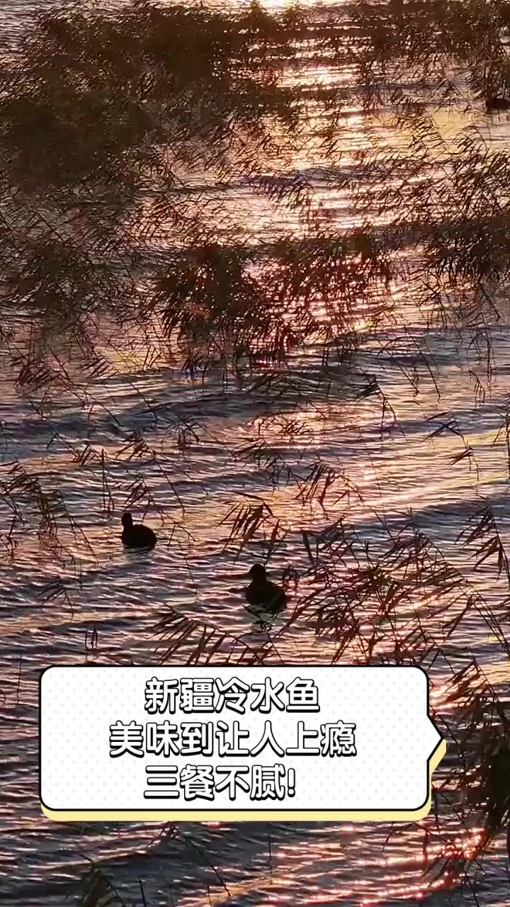 新疆冷水鱼,美味到让人上瘾,三餐不腻!