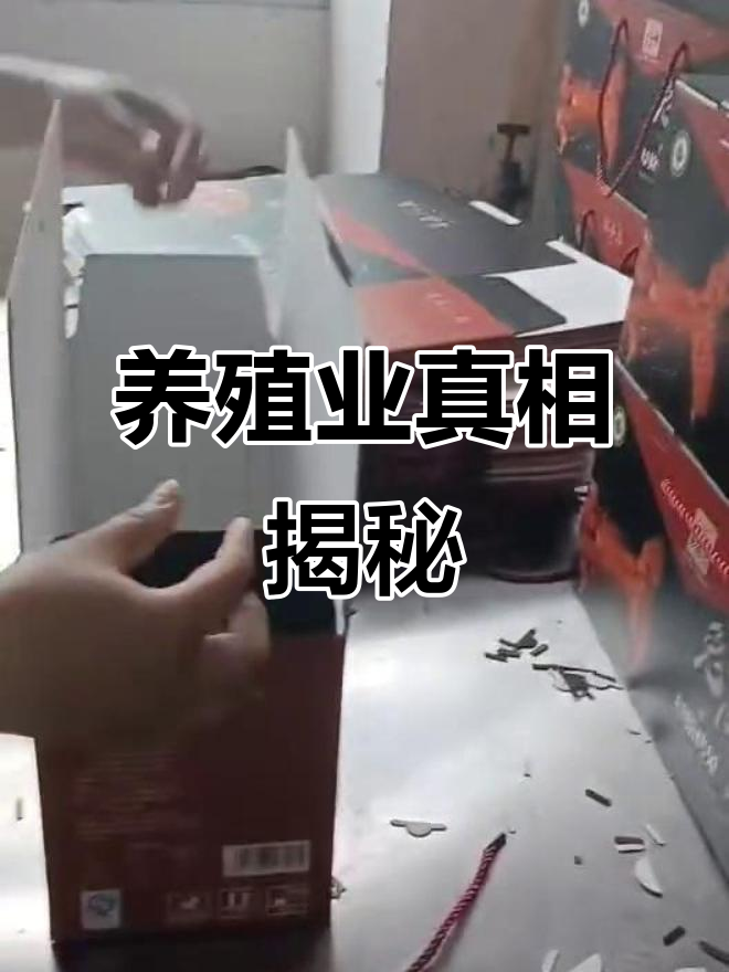 兔肉加工与餐饮市场,才是检验兔子回收能否盈利的关键