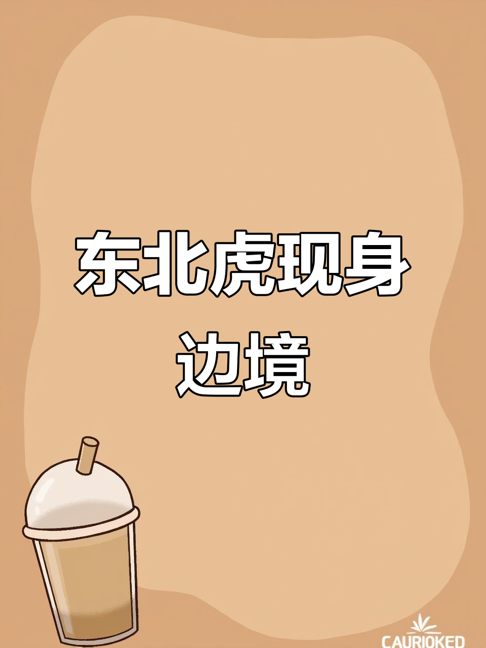 边境巡逻发现疑似东北虎足迹,专家确认其成年体型