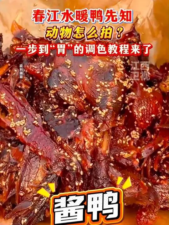 春江水暖鸭先知,赣赣教你一步到“胃”的调色教程 #调色 #啤酒鸭 #江西美食