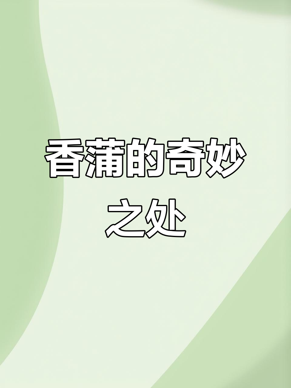 香蒲外形似烤肠，全身皆宝，你知道它的神奇用途吗？
