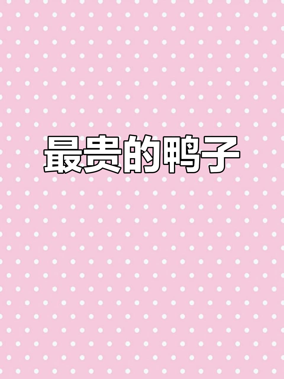 世界上最贵的宠物鸭,柯尔鸭为何如此昂贵?