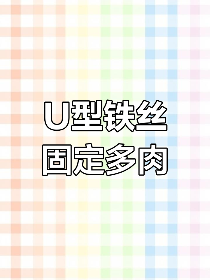 多肉不稳?U型铁丝轻松固定,悬崖桩造型更稳固