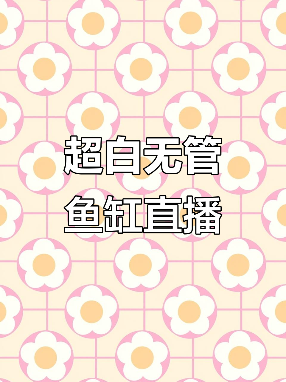 无管道静音鱼缸，超白缸设计细节揭秘