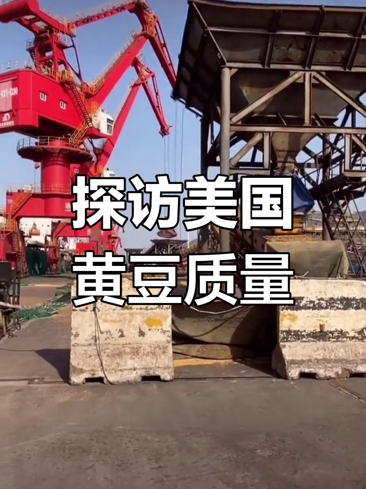 美国黄豆品质揭秘,江苏工厂如何加工金龙鱼大豆油