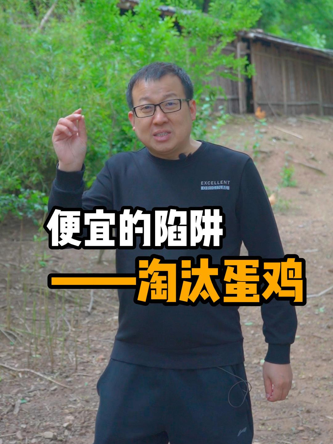 便宜的陷阱-淘汰蛋鸡