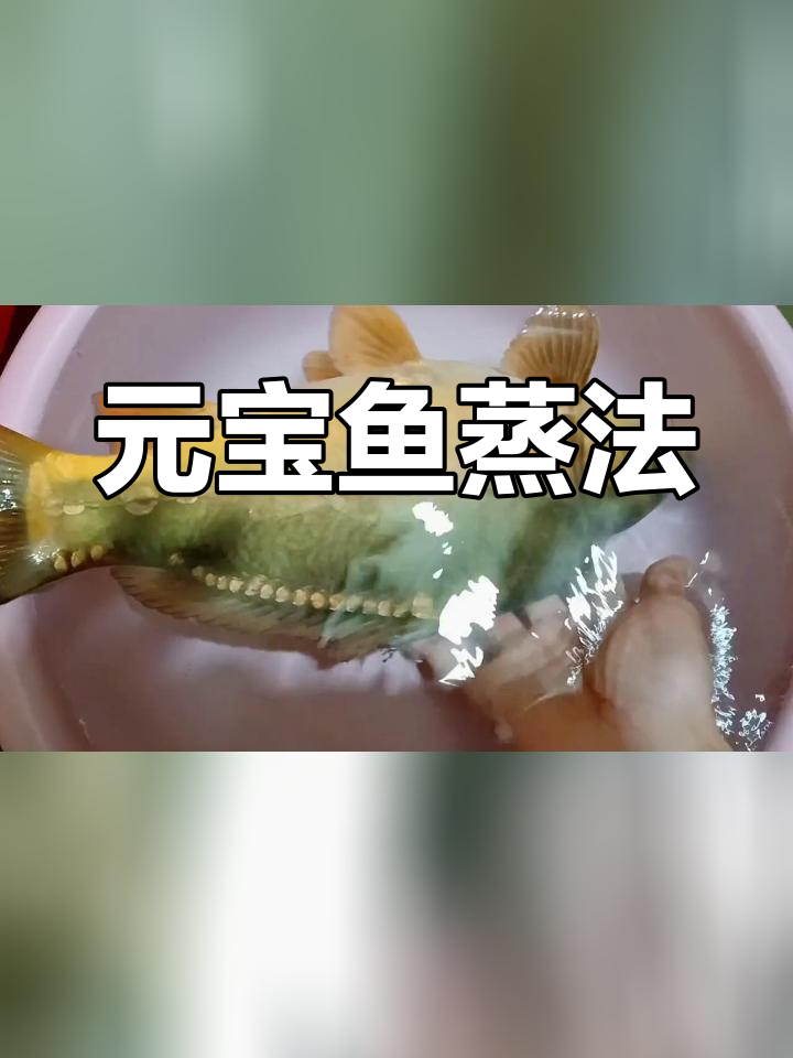 剁椒元宝鱼,香辣可口,下饭又下酒