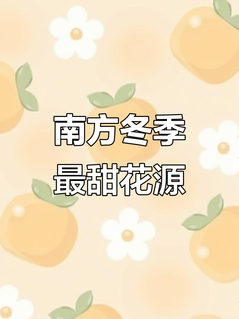 广东广西冬蜜最佳来源:鸭脚木与野桂花的花海盛宴