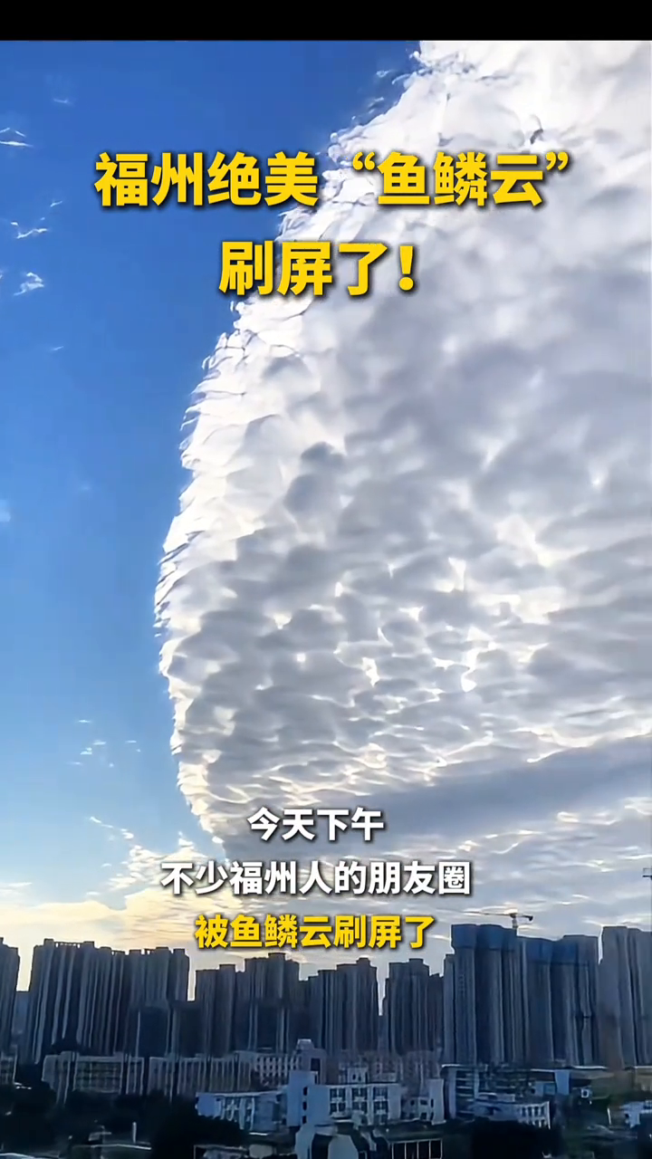 福州绝美“鱼鳞云”,刷屏了!