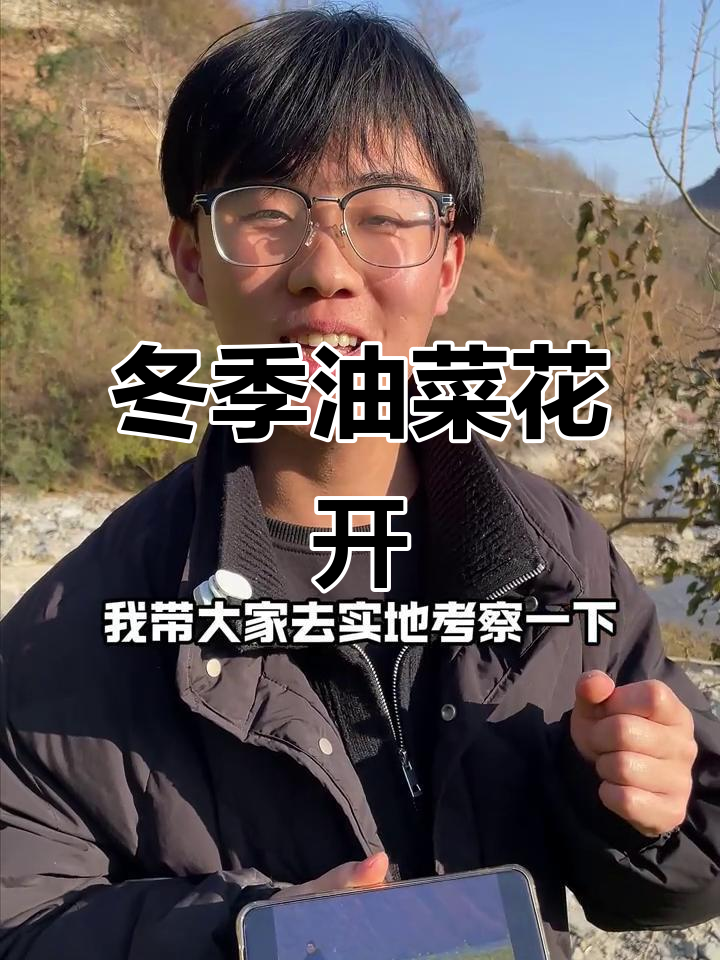 寒冬里的油菜花海，陇上江南美景惊艳登场