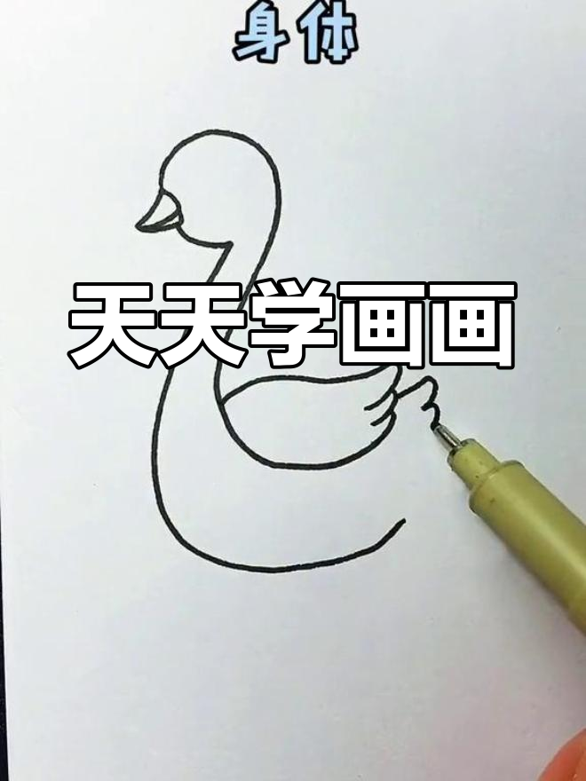 天鹅简笔画,轻松学会!每天跟着田妈一起画吧!