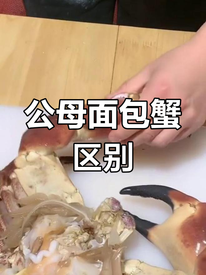 面包蟹公母大对比,肉质差异揭秘