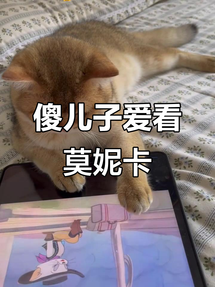 我家傻儿子迷恋《猫和老鼠》中的小母猫莫妮卡,简直被她萌翻了