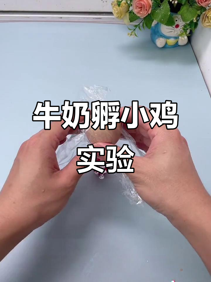 往鸡蛋里注入牛奶,真的能孵化出小鸡仔?