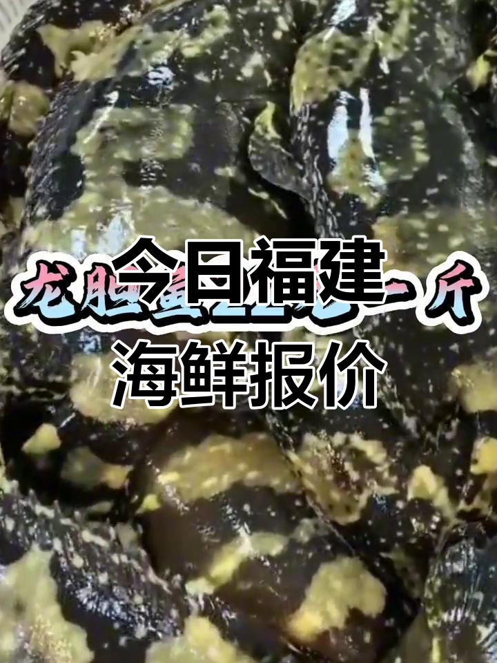 福建海鲜市场行情大揭秘:龙胆鱼、土龙与皮皮虾价格一览