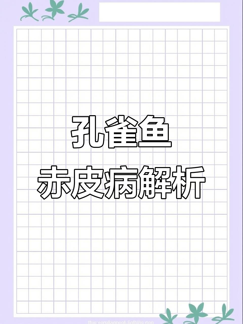孔雀鱼身上红点红斑?原来是这种病!