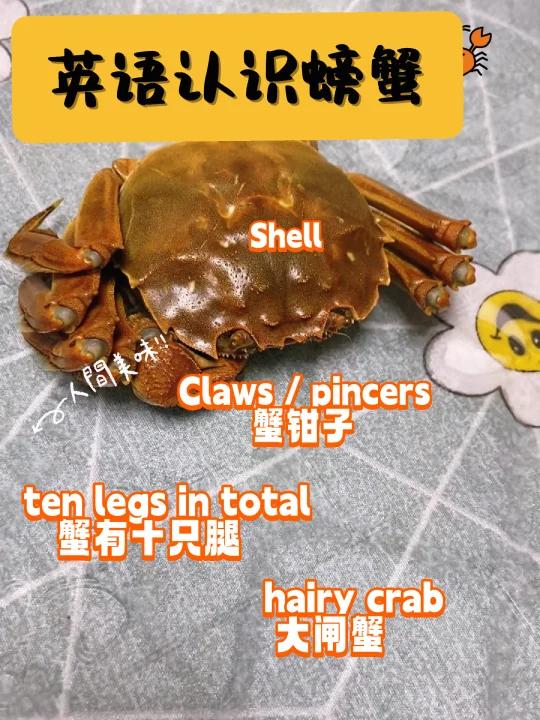 亲子英语221:吃螃蟹的季节,先认识螃蟹先生