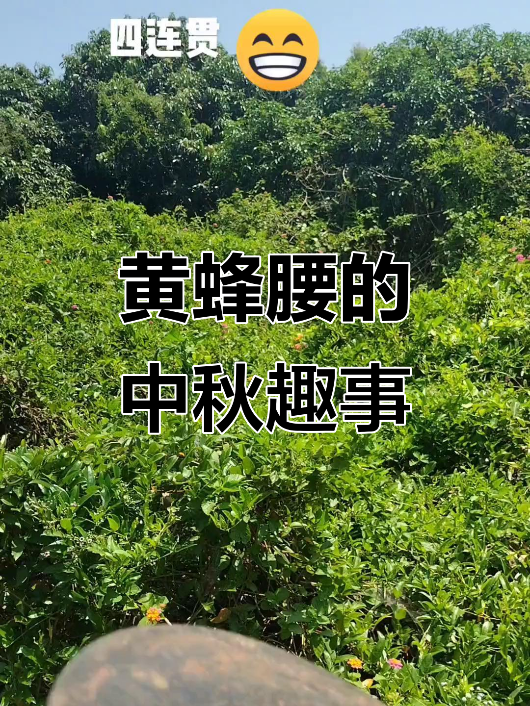 中秋节烤鸭脚,黄蜂腰的奇妙之旅