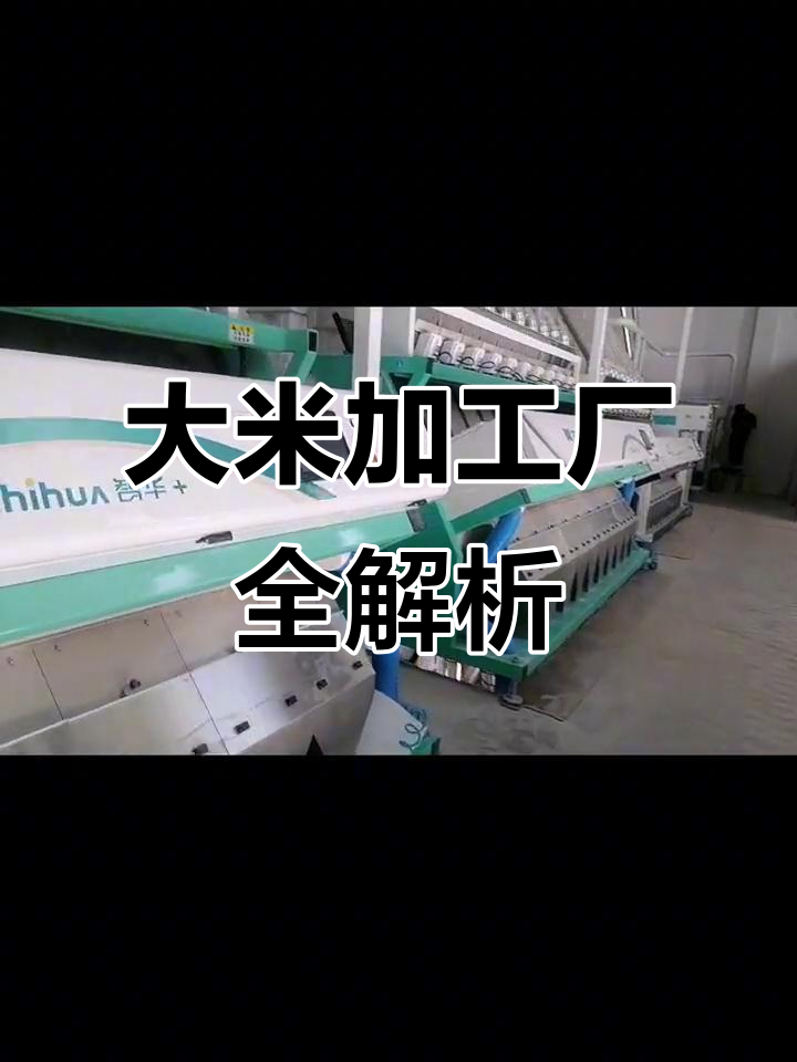 从原粮到大米,揭秘香米的加工工艺与流程