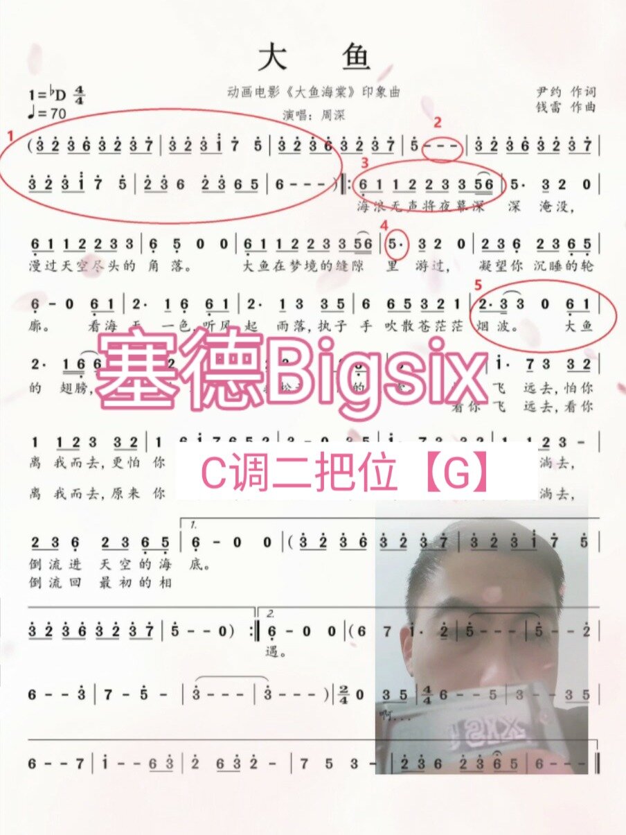 口琴简谱实践吹奏～「大鱼」