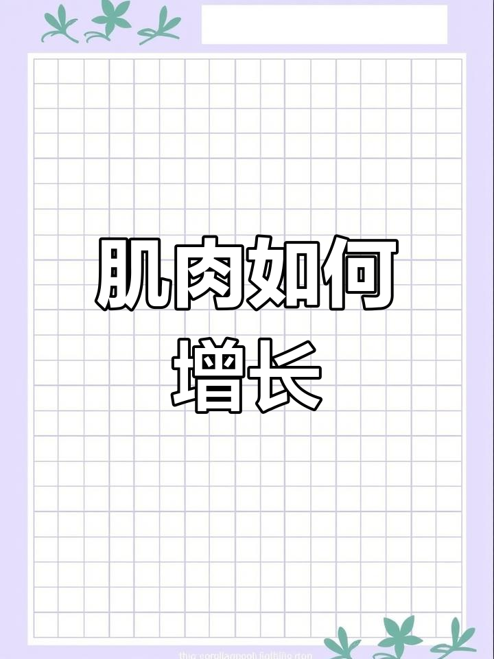 肌肉增长的原理揭秘