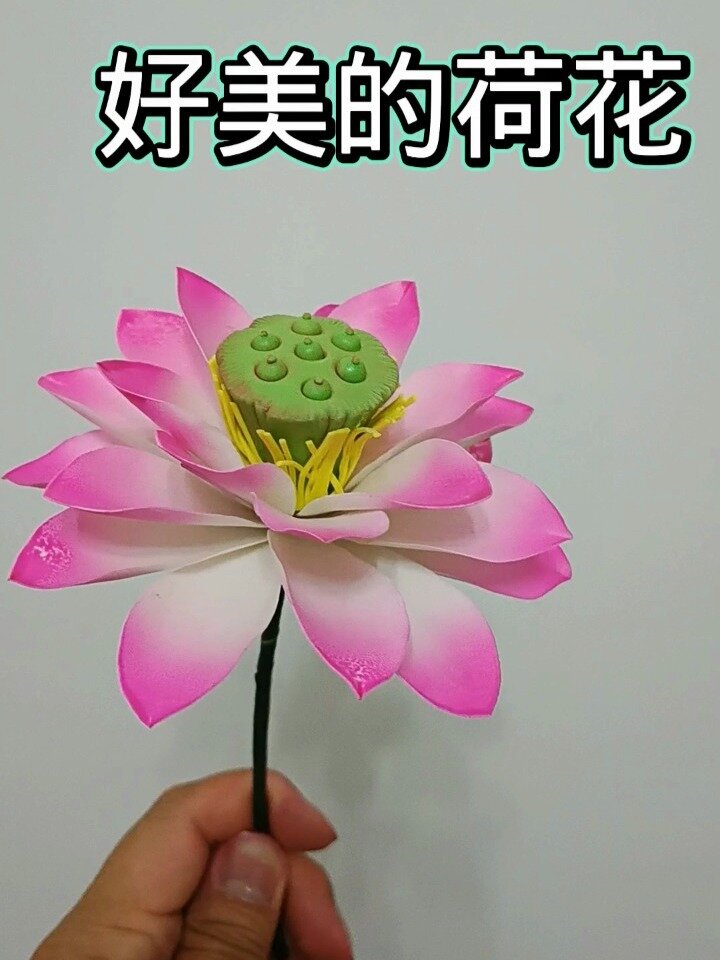面塑荷花制作教程