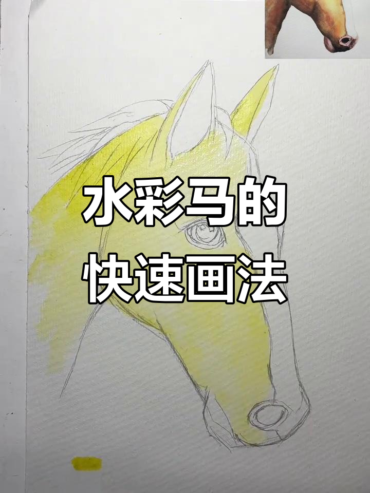 简单水彩马画法,轻松掌握技巧