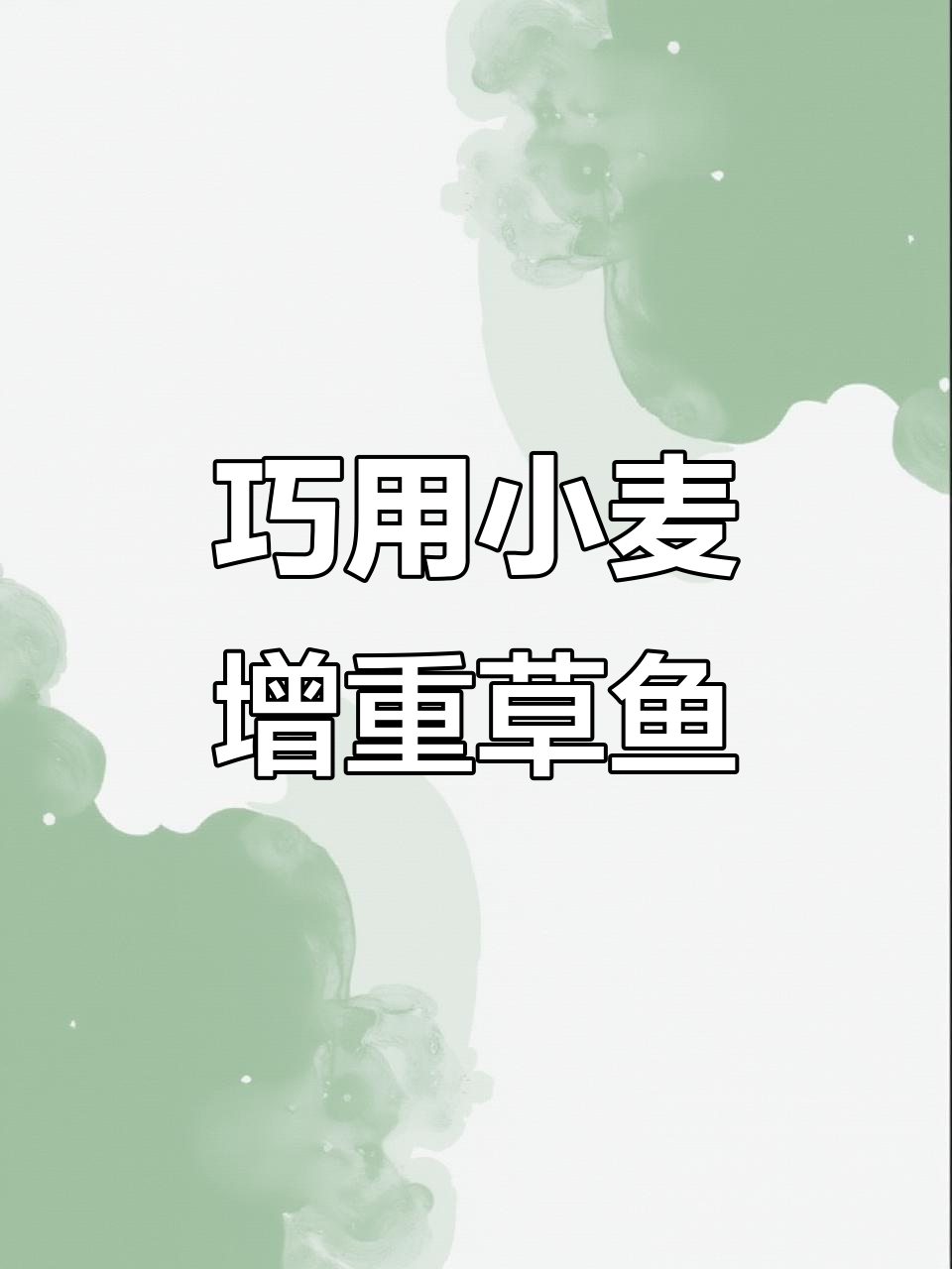 小麦搭配草料喂鱼,效果惊人!