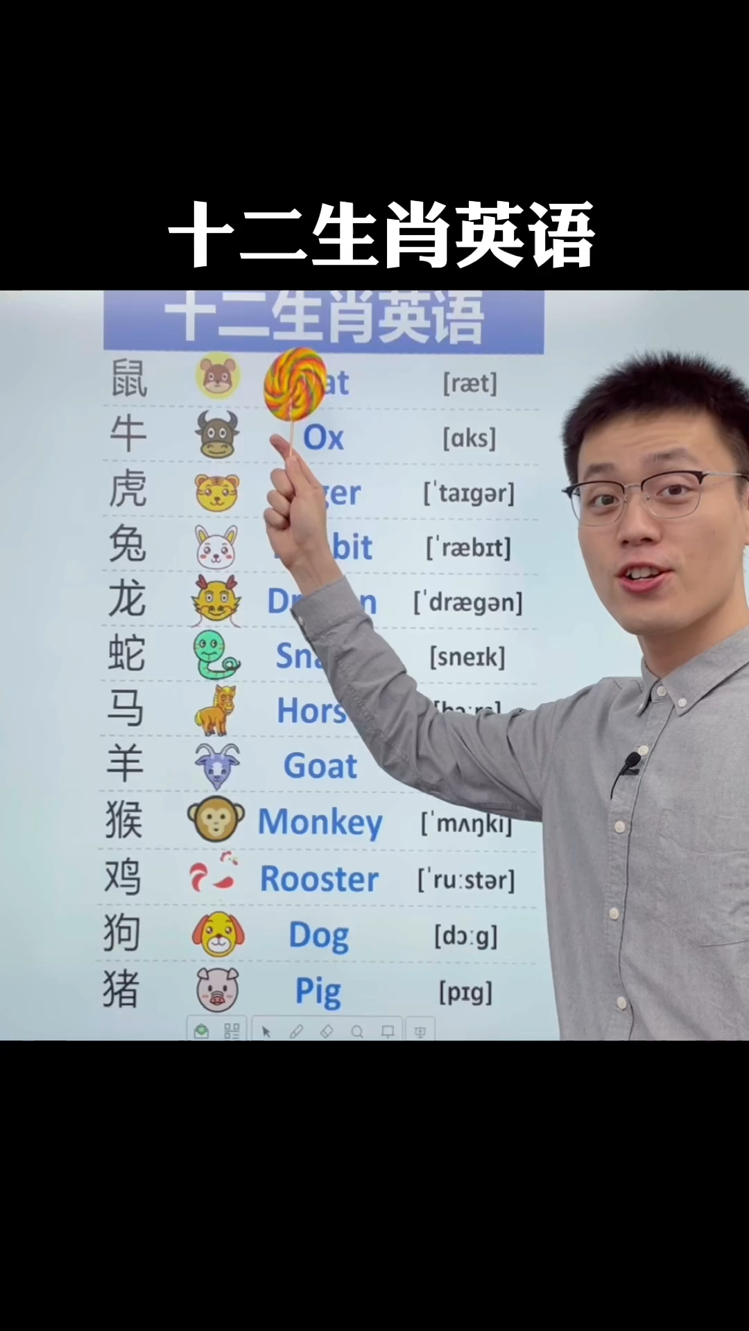 十二生肖的英文单词