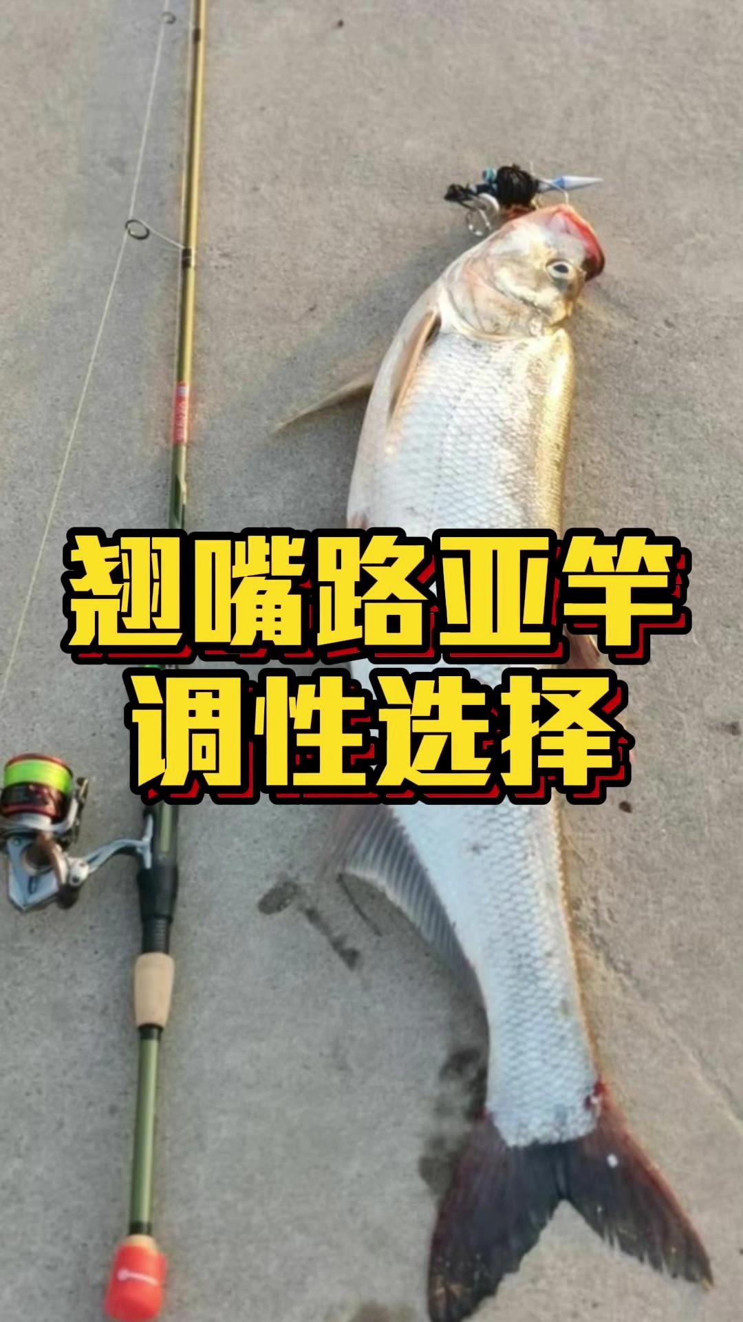 钓翘嘴应该选什么调性的路亚竿?