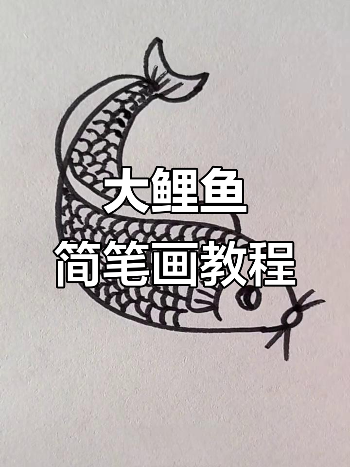 轻松学画大鲤鱼，步骤简单又有趣